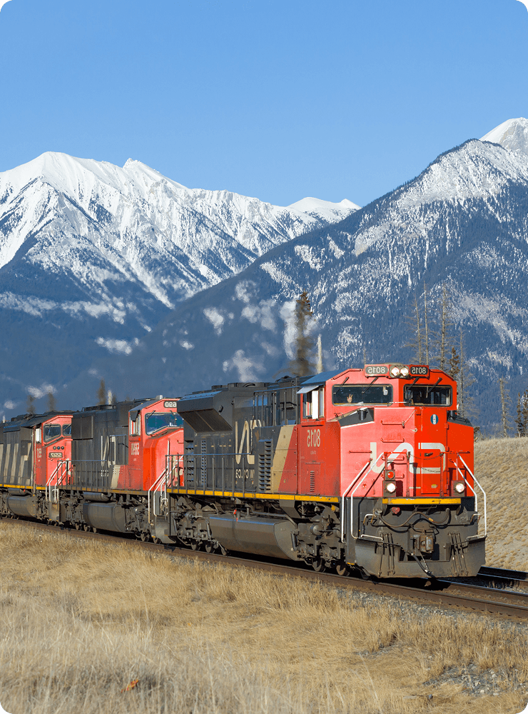 Sustainable Transport